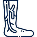 dvt